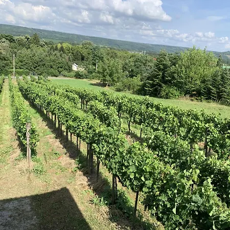 Pax By Interhome Hébergement de vacances