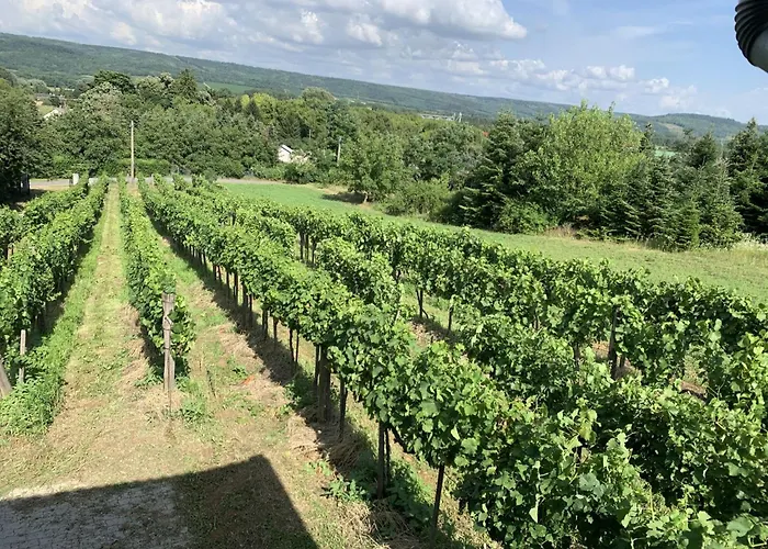 Pax By Interhome Holiday home